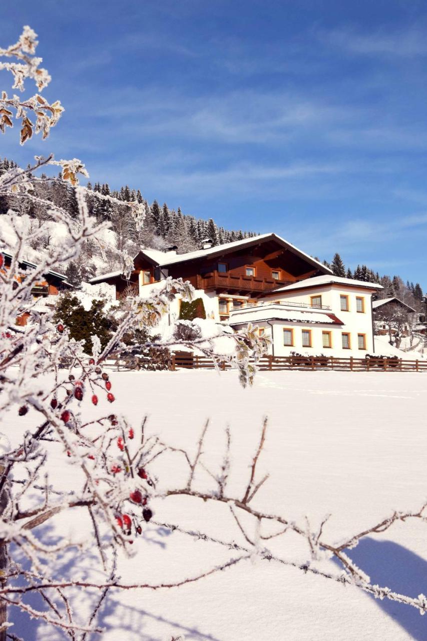 Ferienhaus Steger Maria Flachau Exterior foto